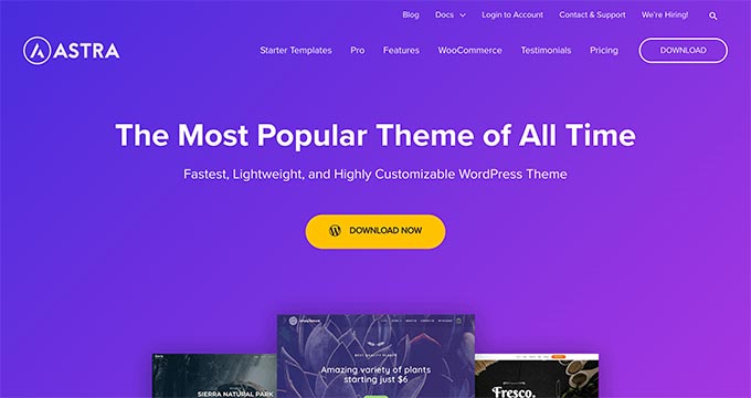 5 Most Popular and Best WordPress Themes