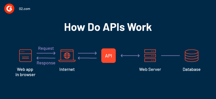 What Is a Web App? A Beginner's Guide