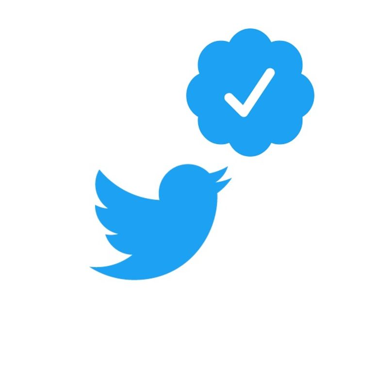 blue tick account verification process restarted by twitter under updated policies