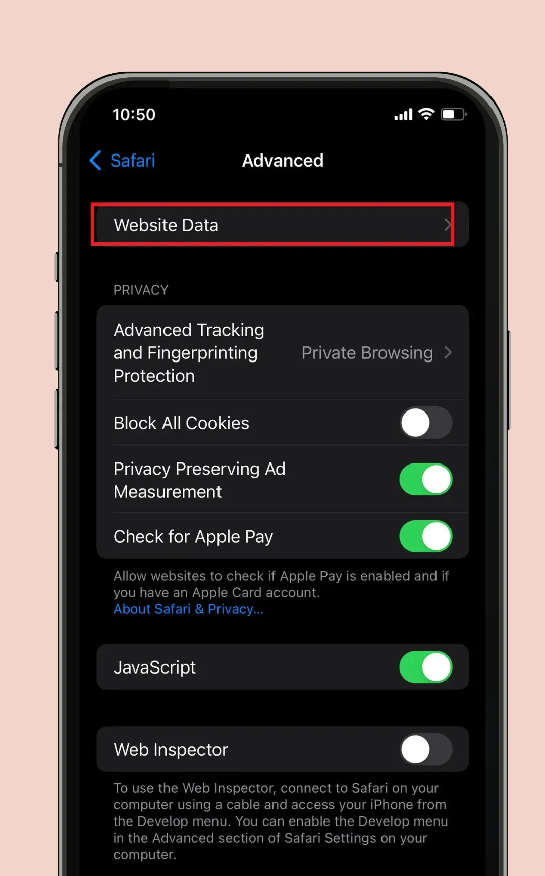 Advanced Safari settings with Website Data option highlighted